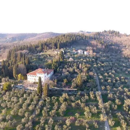 Del Mosaico Rignano Sull Arno